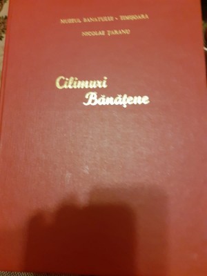 Cilimuri bănățene foto