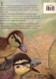 Ratusca cea urata | Hans Christian Andersen