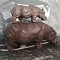 Animale plastic familie zoo figurine hipopotam Britains Hong Kong vintage T1