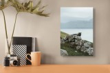Tablou Canvas Peisaj Noros cu Oaie pe Deal St&acirc;ncos, 26 x 39 cm, CMCLASS