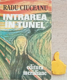 Memorii, vol. 1 Intrarea in tunel Radu Ciuceanu cu autograf