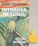 Memorii, vol. 1 Intrarea in tunel Radu Ciuceanu cu autograf