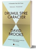 Drumul spre caracter | David Brooke