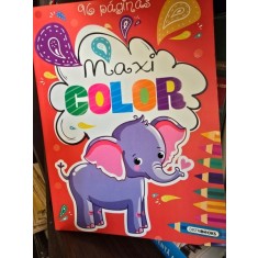96 Paginas Maxi Color (96 de pagini de colorat - limba spaniola)