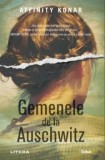 Cumpara ieftin Gemenele de la Auschwitz/Affinity Konar, Litera