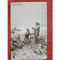 Carte postala, declaratie de dragoste, inceput de secol XX