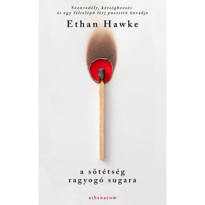 A s&amp;ouml;t&amp;eacute;ts&amp;eacute;g ragyog&amp;oacute; sugara - Ethan Hawke foto