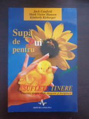 SUPA DE PUI PENTRU SUFLET - SUFLETE TINERE - Canfield, Hansen foto