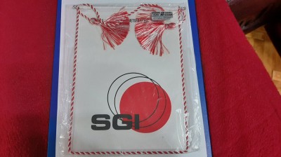 fanion baschet SGI [Danemarca] foto
