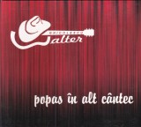 Walter Ghicolescu - Popas in alt cantec | CD Folk Romanesc | Stare Buna | Cod Catalog 15754