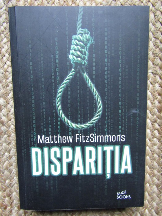Matthew FitzSimmons - Disparitia