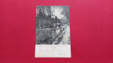 Prahova Sinaia Moara apa Water mill Paraul Peles 1903, Circulata, Printata