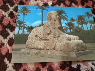 CARTE POSTALA --EGYPT NECIRCULATA foto