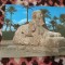 CARTE POSTALA --EGYPT NECIRCULATA