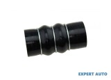 Furtun admisie Ford Focus 2 (2004-2010) [DA_] #1