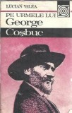 Pe urmele lui George Cosbuc - Lucian Valea, Editura Sport-Turism, 1986, 328 pagini, Carte romana veche, Literatura Romana