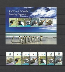 FALKLAND 2008 FAUNA PASARI PINGUINI foto