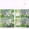 COALA DE 4 BANCNOTE 10.000 LEI DIN ANUL 2000 UNC