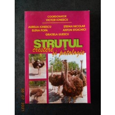 VICTOR IONESCU - STRUTUL. CRESTERE SI PATOLOGIE