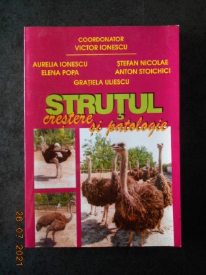 VICTOR IONESCU - STRUTUL. CRESTERE SI PATOLOGIE foto