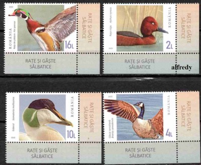ROMANIA 2022, Rate si gaste salbatice, serie neuzata, MNH, 2378 foto