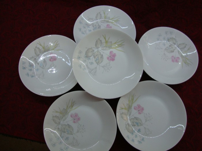SET / SERVICIU 6 FARFURII ADANCI DIN PORTELAN ROSENTHAL
