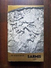 Ion Nicolae Bucur &amp;ndash; Sarmis foto