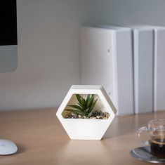 Decor plante artificiale - perete - 13 x 12 cm - 4 tipuri Best CarHome