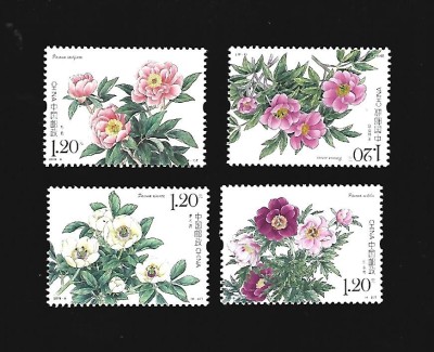 china flori mnh foto