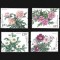 china flori mnh