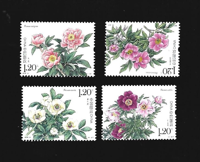 china flori mnh