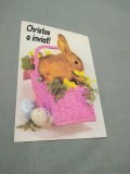 Cumpara ieftin CARTE POSTALA --FELICITARE PASTI NECIRCULATA