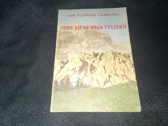 ION FLORIAN PANDURU - UNDE AJUNG DOAR VULTURII