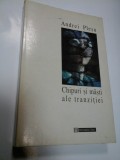 Cumpara ieftin CHIPURI SI MASTI ALE TRANZITIEI - ANDREI PLESU
