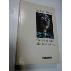 CHIPURI SI MASTI ALE TRANZITIEI - ANDREI PLESU