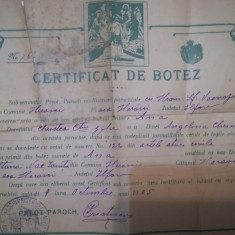1905, Certificat botez Ana Christea, Herăști, Ilfov, nas Stana Nae Ionita