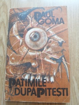 Patimile dupa Pitesti - Paul Goma foto
