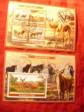 2 Blocuri Burkina Faso 2019 Fauna - Antilope, Stampilat