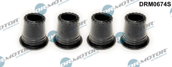 Etansare, Suport Injector 255944 DRM0674S