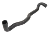 Furtun radiator RENAULT CLIO III (BR0/1, CR0/1) (2005 - 2012) THERMOTEC DWR047TT