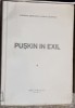 Puskin in Exil - Gh. Bezviconi, S. Callimachi (1947, Romana, Biografie) - Editura Bucuresti