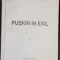Gheorghe Bezviconi, Scarlat Callimachi - Puskin in Exil