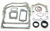 Set garnituri motor Briggs and straton (Seriile 110900, 111900) 4 CP, Taiwan