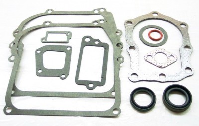 Set garnituri motor Briggs and straton (Seriile 110900, 111900) 4 CP foto
