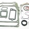 Set garnituri motor Briggs and straton (Seriile 110900, 111900) 4 CP