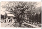 CPIB 22629 - CARTE POSTAL - VEDERE DIN SLANIC MOLDOVA, RPR, Circulata, Fotografie
