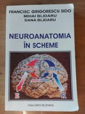 Neuroanatomia in scheme- Francisc Grigorescu Sido, Mihai Blidaru foto