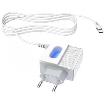 Incarcator Retea cu cablu USB Tip-C HOCO C75, 2 X USB, 1m, Alb foto