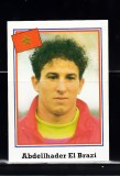 B10 - Sticker fotbal - Campionatul mondial USA - 1994 - nr 377