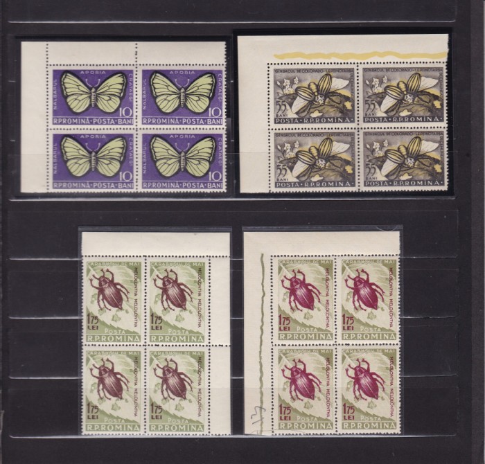ROMANIA 1956 LP 413 LP 413 a INSECTE DAUNATOARE CU EROARE BLOCURI 4 TIMBRE MNH